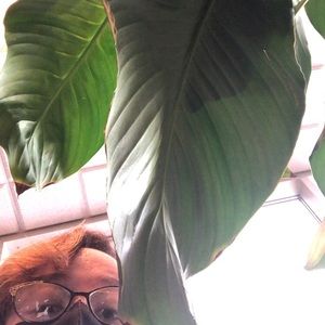 Meet your Posher, Cydnee